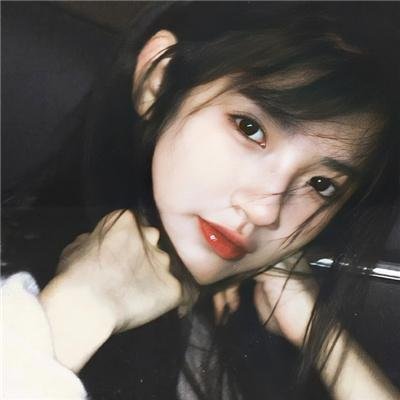 藏獒多吉
